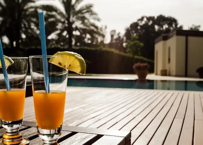 Archeo מלון גלה